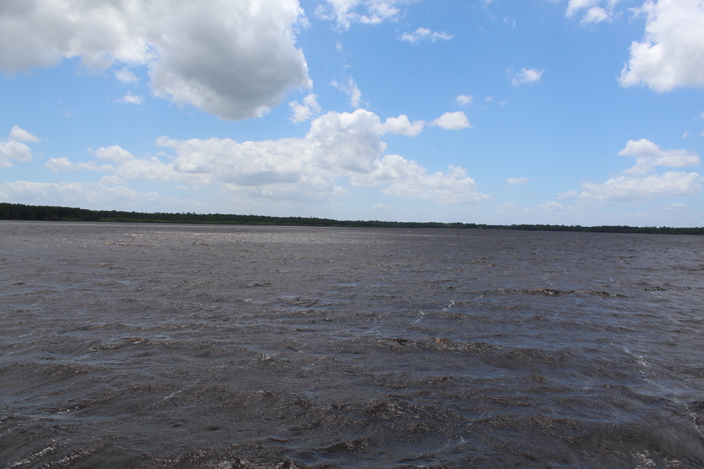 AI caption: a large body of water with a lot of water, black and white