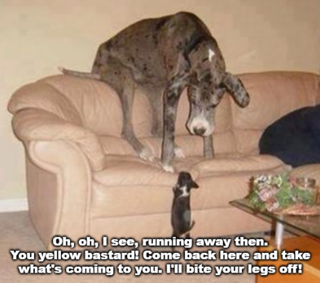 AI caption: a dog is sitting on a couch with a yellow dog, cartoon