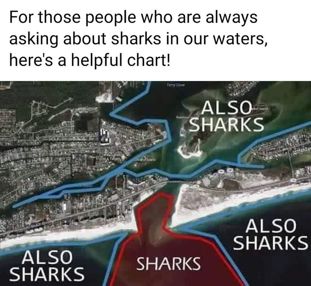 AI caption: for people who are always asking about sharks in our waters, here's a helpful chart, map