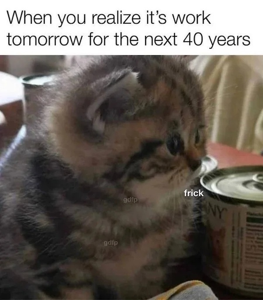 AI caption: a kitten sitting next to a can of food, meme