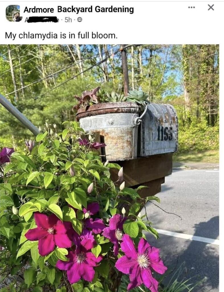 AI caption: a mailbox with flowers on it, ad