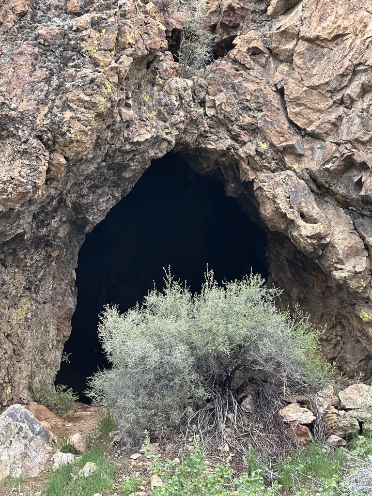 AI caption: a small building with a sign that says own of lone inc, old fashioned spirits of vitlettes gas sign, the sign is a slang term for a gas station, vintage a stone bench in a grassy area, the stone benches are too close to the grass, rustic a cave with a dark entrance and bushes, the dark cave, black and white