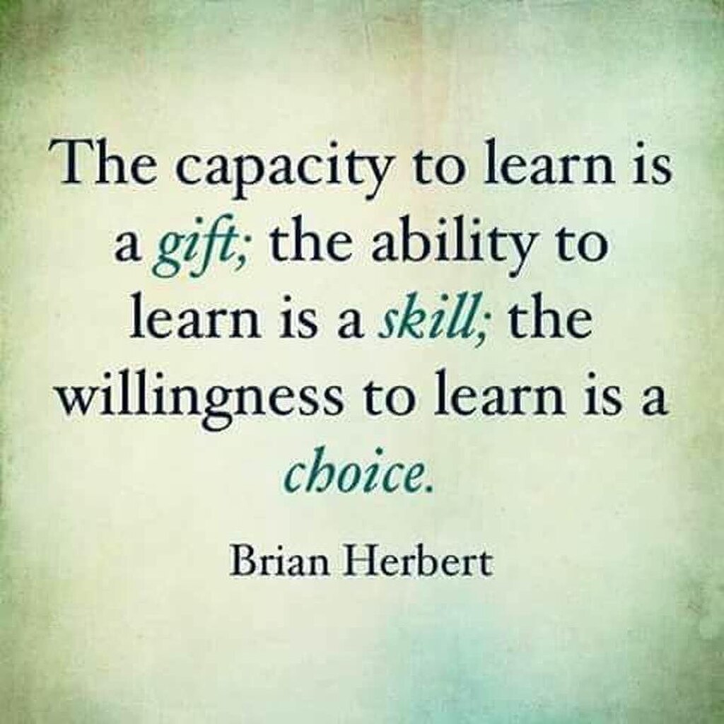 AI caption: the capacity to learn is a gift the ability to learn is a skill, a quote