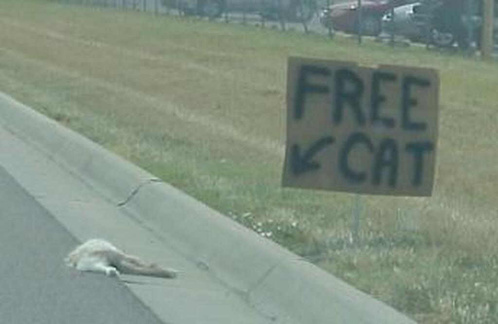 AI caption: a cat laying on the side of the road, black and white