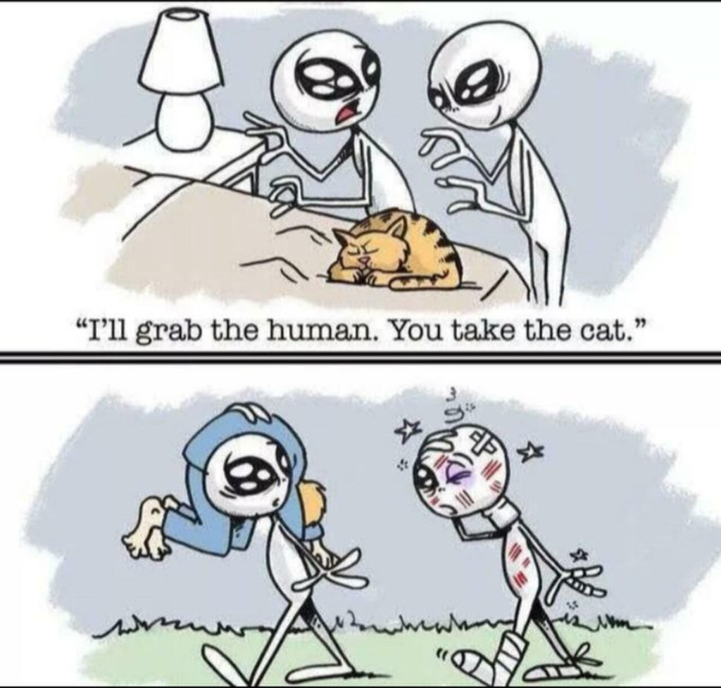 AI caption: two cartoons with the words, i'll grab the human you take the cat, comic