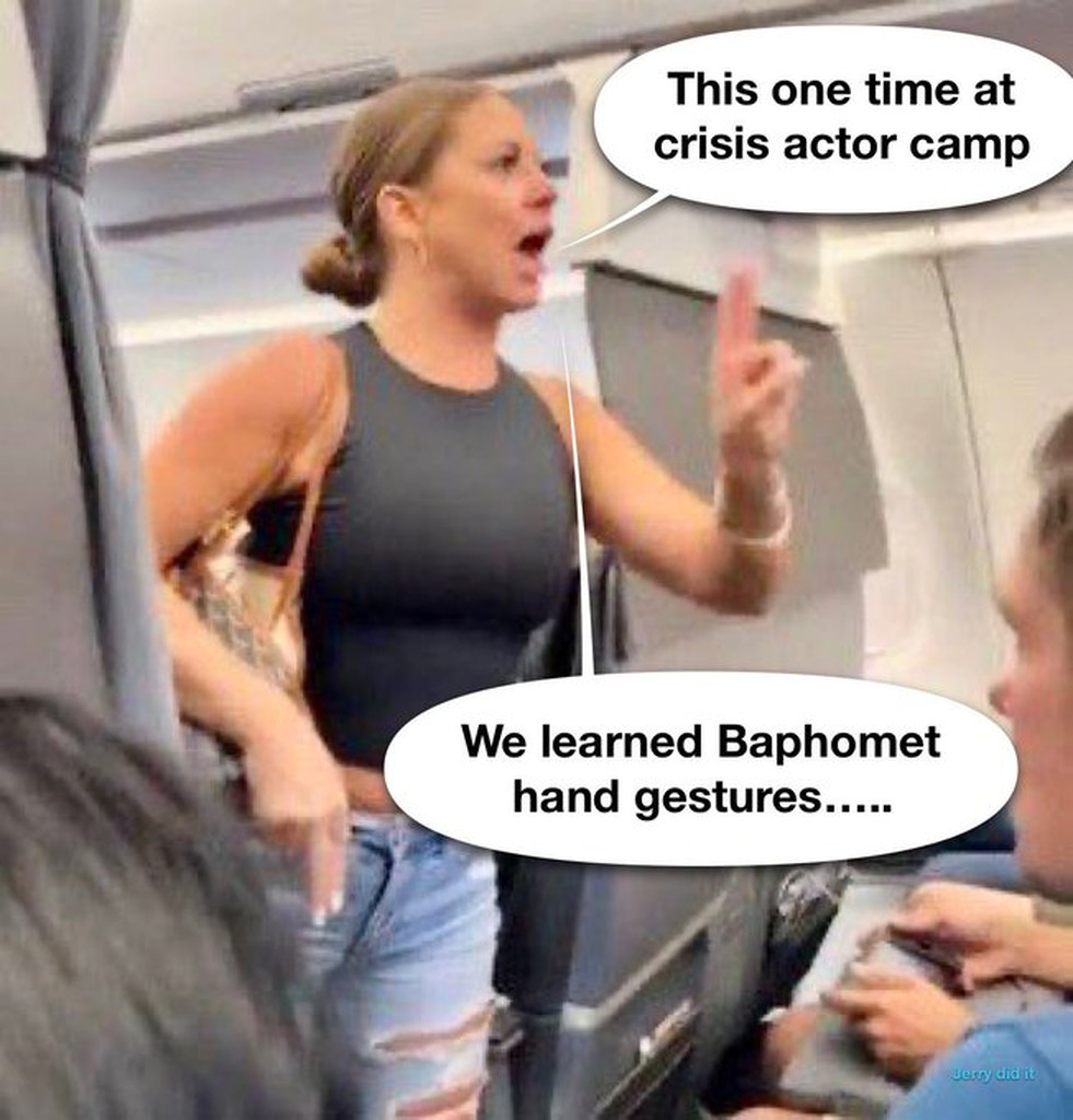 AI caption: a woman is on an airplane with a woman on the seat next to her, comic